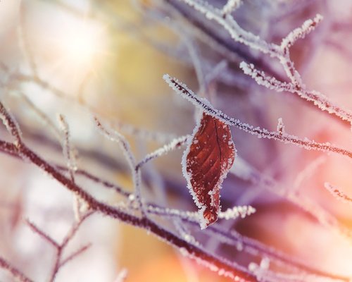 comfortable winter boots standing on autumn leaves